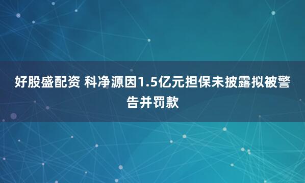 好股盛配资 科净源因1.5亿元担保未披露拟被警告并罚款