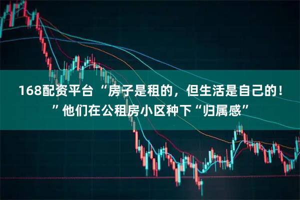 168配资平台 “房子是租的，但生活是自己的！”他们在公租房小区种下“归属感”