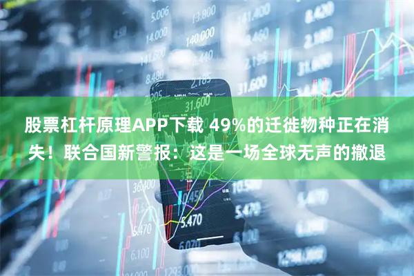 股票杠杆原理APP下载 49%的迁徙物种正在消失！联合国新警报：这是一场全球无声的撤退